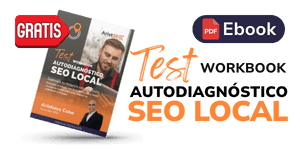 workbook autodiagnostico seo local